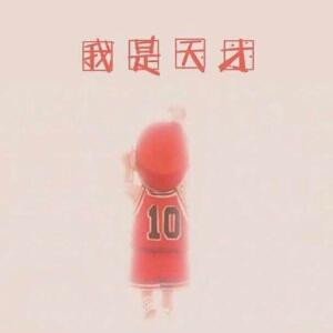 v老猫v