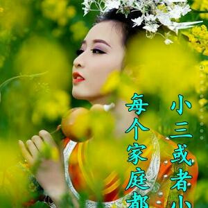 阿波罗