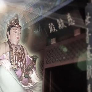 胖橘子