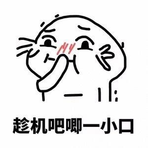披着马甲到处飞