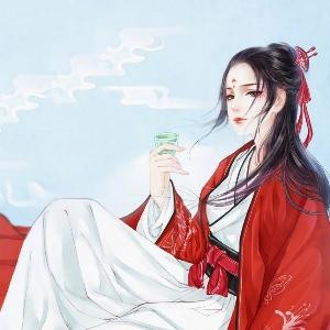 叶公子
