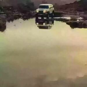 书虫