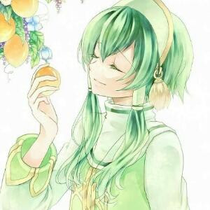 冰山雪莲
