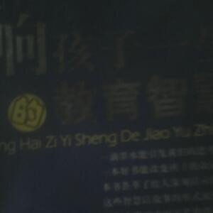 天价邪妃