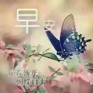 爱