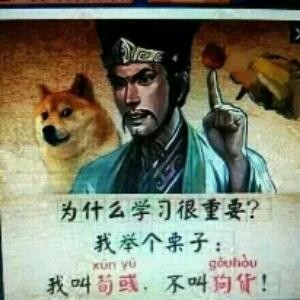 157258456359