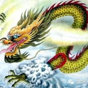 小龙