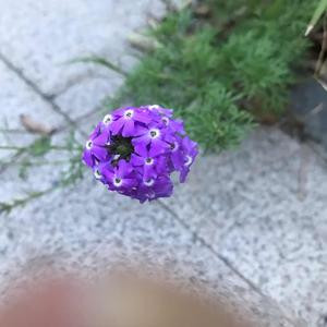 无声的反抗