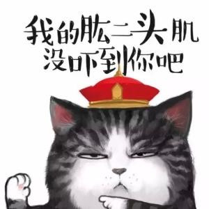 南枫向晚