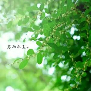 天晴