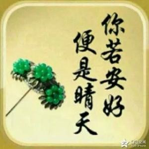 随风