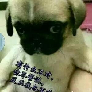 東胜百晓生