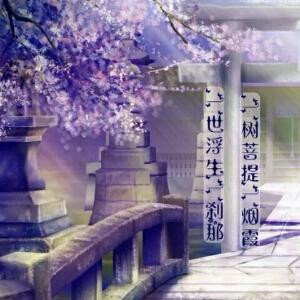 天天