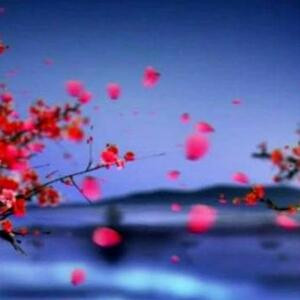 等你在灯火斓珊