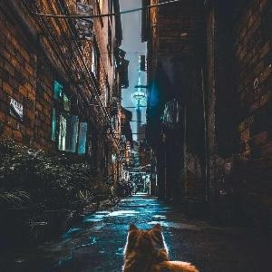 星眠夜语