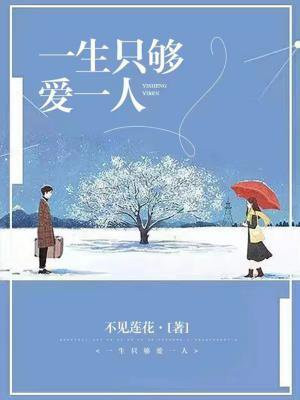 一生只够爱一人