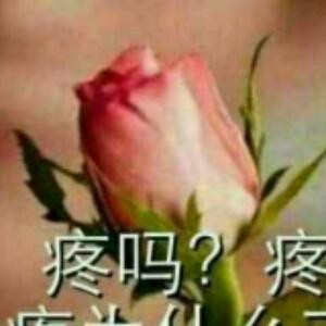 美好未来