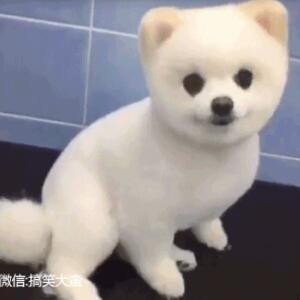 敏月
