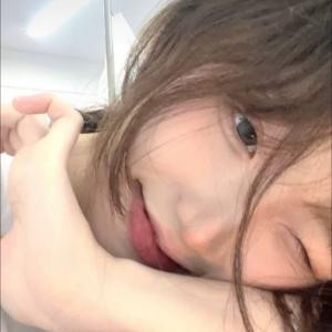 沈蒽