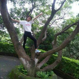 怪姐姐