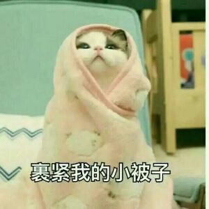 忘小盆