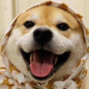 y∩__∩y同一首歌