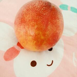 浅水菇凉柠檬泪