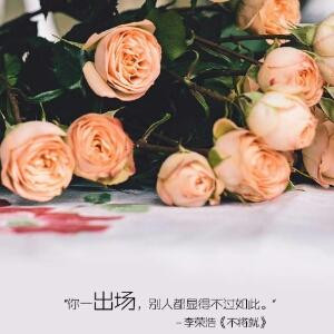 秀宝