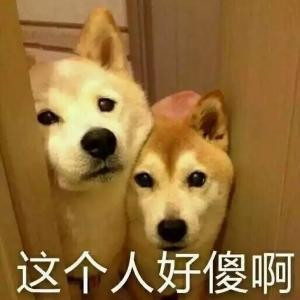 云姐儿