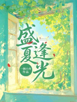 盛夏逢光