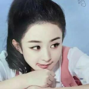 赵丽颖铁粉