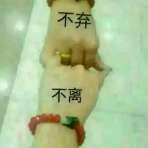 雪儿