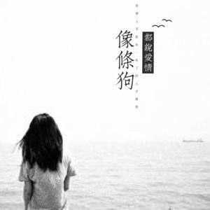 鱼鱼鱼儿
