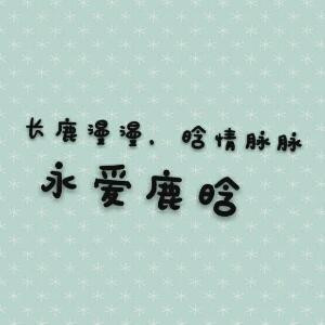 鹿夫人和鹿先森