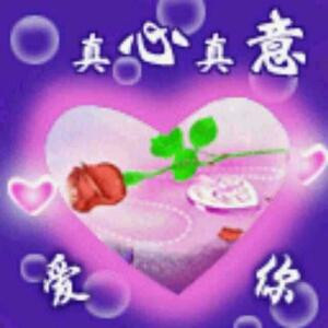 飞哥
