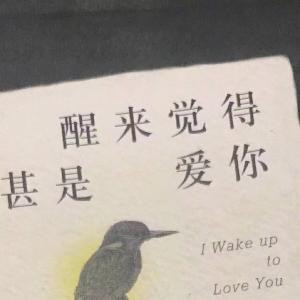 荔枝猪不止十元