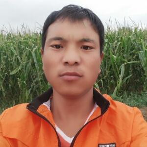 大名鼎鼎