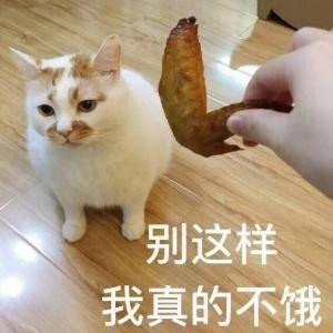 訞妖