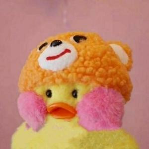 小鱼