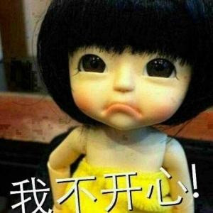 笼中的鹦鹉