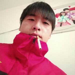 枫