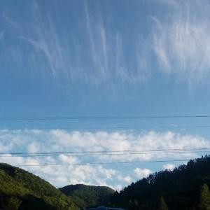 精简机构湿漉漉