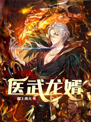 医武龙婿