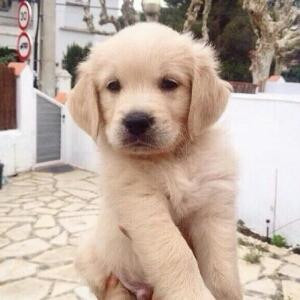 简单是我的态度