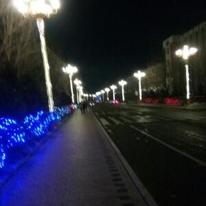 缘由天定