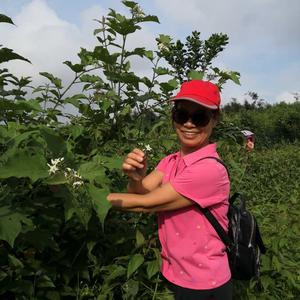 云淡风清