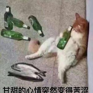 快乐活着