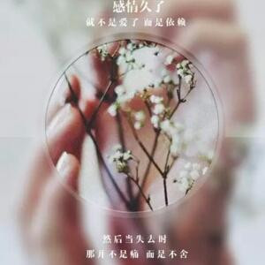 暗雪