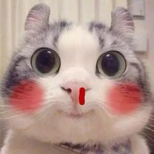 七窍通了六窍