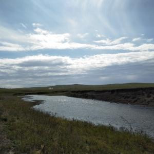 才不要不喜欢学